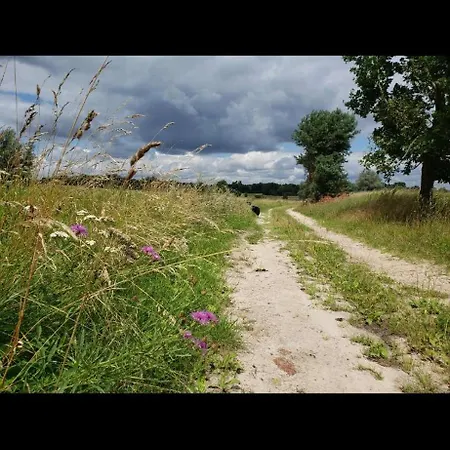Idyllisches Campen Im Zelt *
