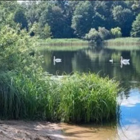 Idyllisches Campen Im Zelt